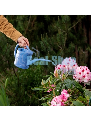 Лейка Россия малая, 1.3 л, пластмассовая Россия 67500