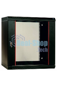 Шкаф настенный ЦМО ШРН-Э-12.500.1 12U 600x520 мм пер. дв. стал. лист несъемные бок. пан. серый