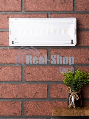 Светильник аварийного освещения SAFEWAY-10P пост. действия LED PROxima EKF dpa-203