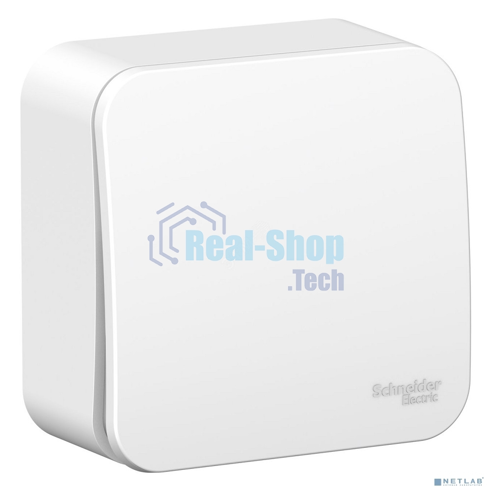 Переключатель 1-кл. ОП Blanca (сх.6) 10А 250 В изол. пласт. бел. SchE BLNVA106011