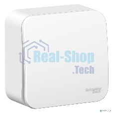 Переключатель 1-кл. ОП Blanca (сх.6) 10А 250 В изол. пласт. бел. SchE BLNVA106011