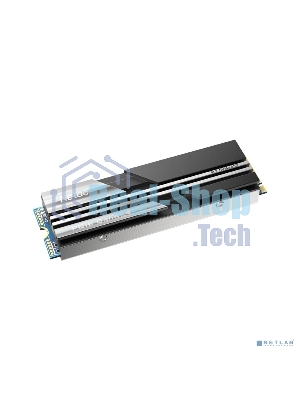 Накопитель SSD Netac NV5000, 500Gb, M.2 2280, PCIe 4.0 x4, NVMe, R/W 5000/2500, с радиатором