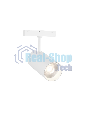 Трековый акцентный светильник Ambrella light GL4430 WH белый IP20 20W 3CCT 3000-6000K SMART 48V 24° D65*140