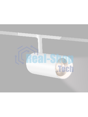 Трековый акцентный светильник Ambrella light GL4430 WH белый IP20 20W 3CCT 3000-6000K SMART 48V 24° D65*140