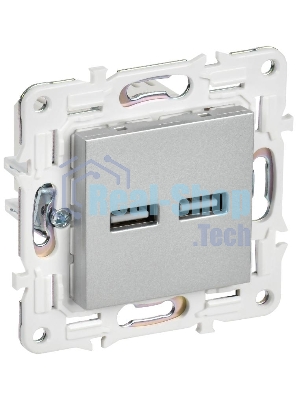 SKANDY Розетка USB A+A 3,1А SK-R15S серебряный  | SK-U21-D31-K23 | IEK