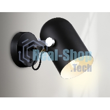 Светильник Ambrella light TR8204 BK черный E27 max 40W D117*280