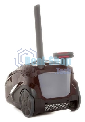 Моющий пылесос Thomas Parkett Master XT коричневый, 325/1700 Вт, уборка сухая/влажная/сбор жидкости, пылесборник контейнер 6 л