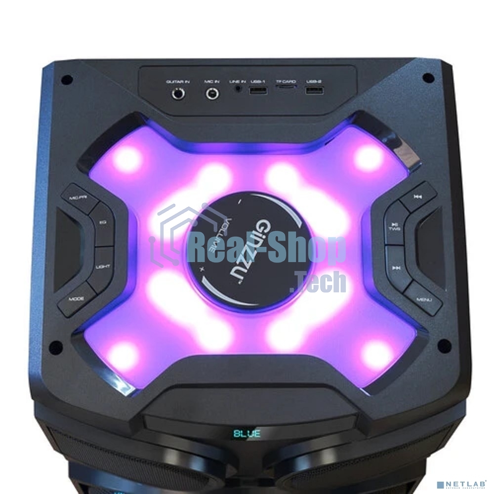 Акустическая система Ginzzu GM-203, Midi, RGb/BT/USB/SD/FM/ДУ