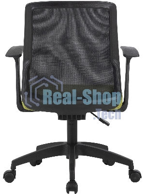 Кресло Cactus CS-MC222-BKGN черный, сетка