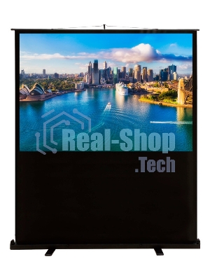 Экран Cactus 120x160 см FloorCompactExpert CS-PSFLCE-160X120 4:3 напольный рулонный