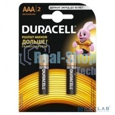 Батарея Duracell Basic CN LR03-2BL AAA (2шт)