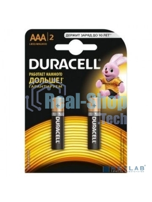 Батарея Duracell Basic CN LR03-2BL AAA (2шт)