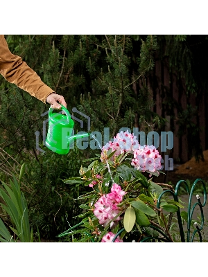 Лейка садовая, 2 л, пластмассовая Россия