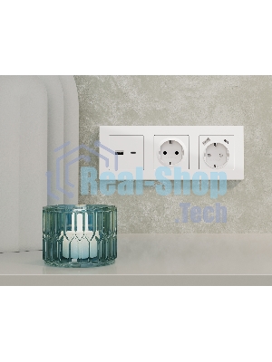 Комплект механизма электрической розетки ALFA Белый матовый 2USB A+C 20W (быстрая зарядка) с/з QUANT (AP1300, VM160) MA130010