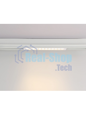 Управляемый светодиодный светильник для шинопровода Magnetic Ambrella light GL1301 WH белый IP20 12W 3000K-6400K 220V 24° 232*25*42 (Без ПДУ)