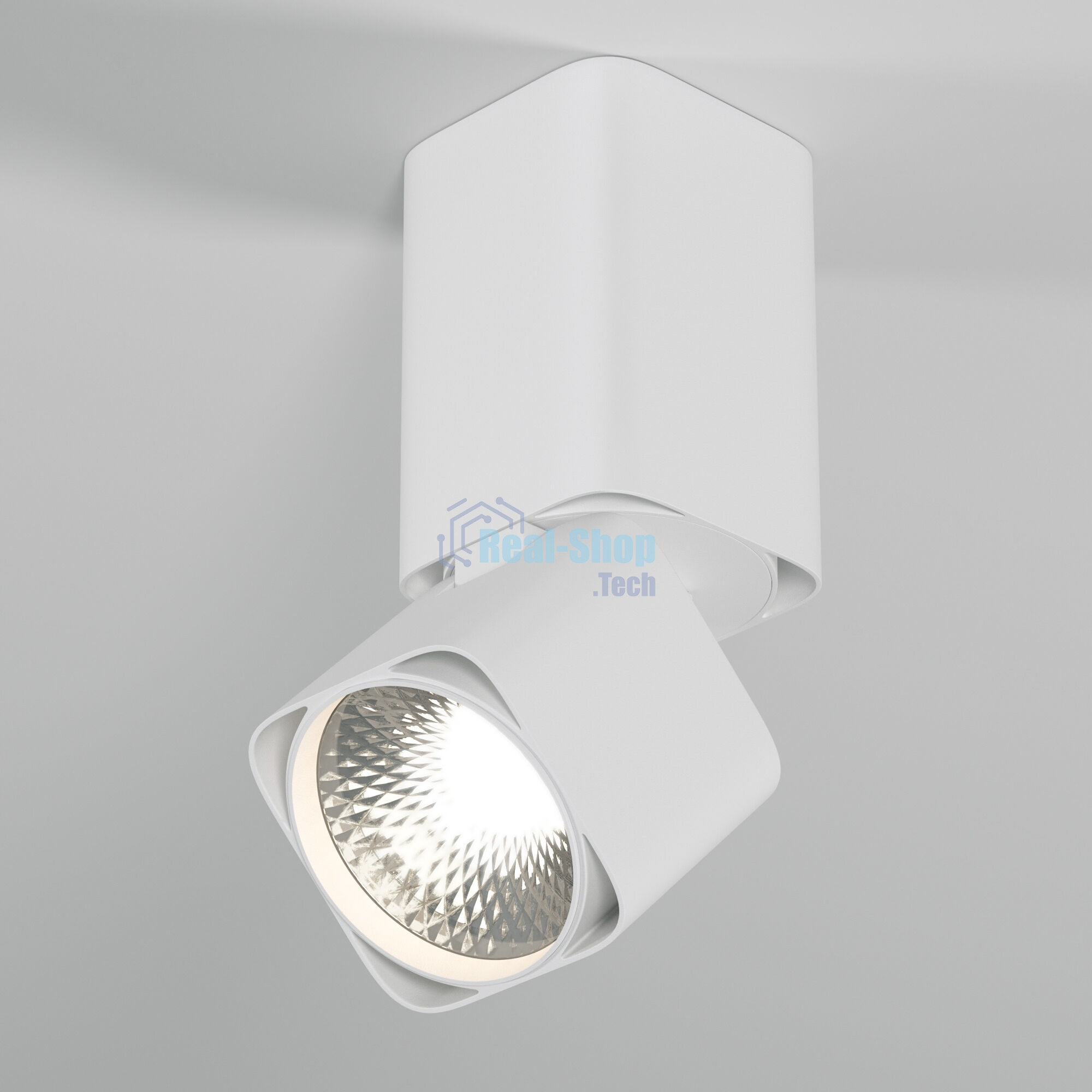 Светильник потолочный светодиодный 25043/LED 10W 4000K белый