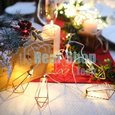 Гирлянда светодиодная Neon-night 