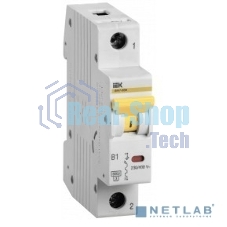Выключатель автоматический IEK MVA31-1-025-B 25A тип B 6kA 1П 230В 1мод белый (упак.:1шт)