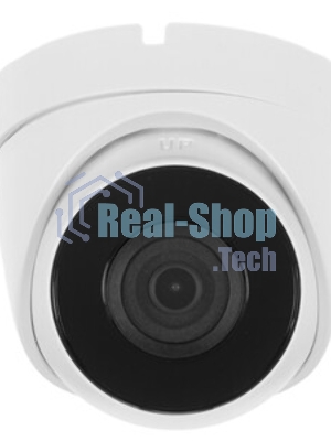 Видеокамера IP HiWatch DS-I203 (D) (4 мм) 4-4мм цветная