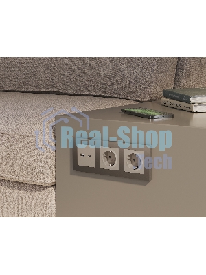 Комплект механизма розетки ALFA Серо-бежевый матовый 2USB A+C 20W (быстрая зарядка) QUANT (AP3710, VM177) MA371010