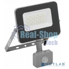 Прожектор Iek LPDO702-20-K03 СДО 07-20Д светодиодный серый с ДД IP44 IEK