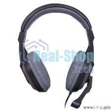 Гарнитура проводная Ritmix RH-534M Gray