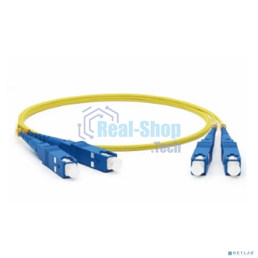 Патч-корд оптический соединительный Rexant (SM), 9/125 (OS2), SC/UPC-SC/UPC, (Duplex), LSZH, 1м