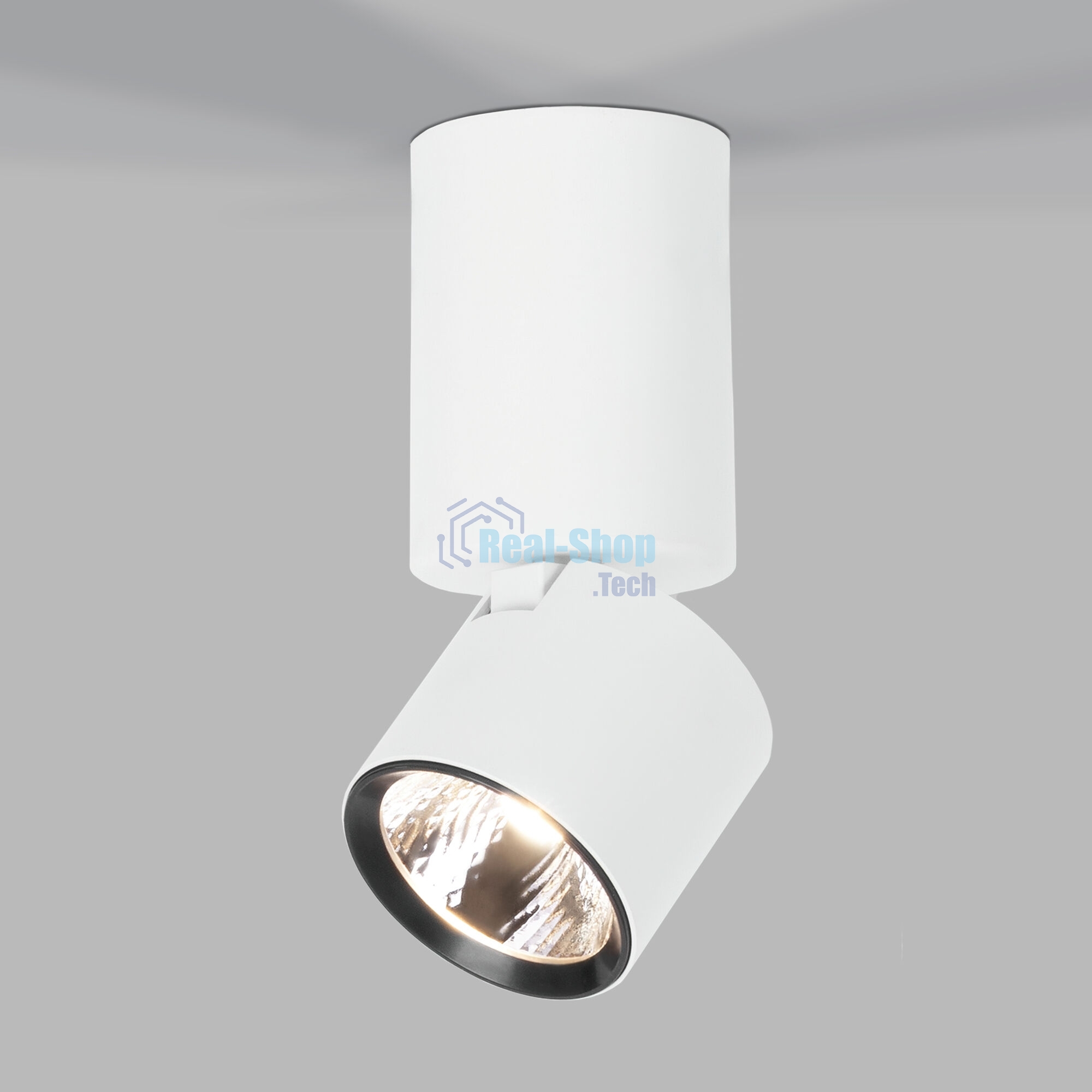 Светильник потолочный светодиодный 25042/LED 10W 4000K белый