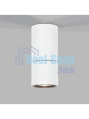 Светильник потолочный светодиодный 25042/LED 10W 4000K белый