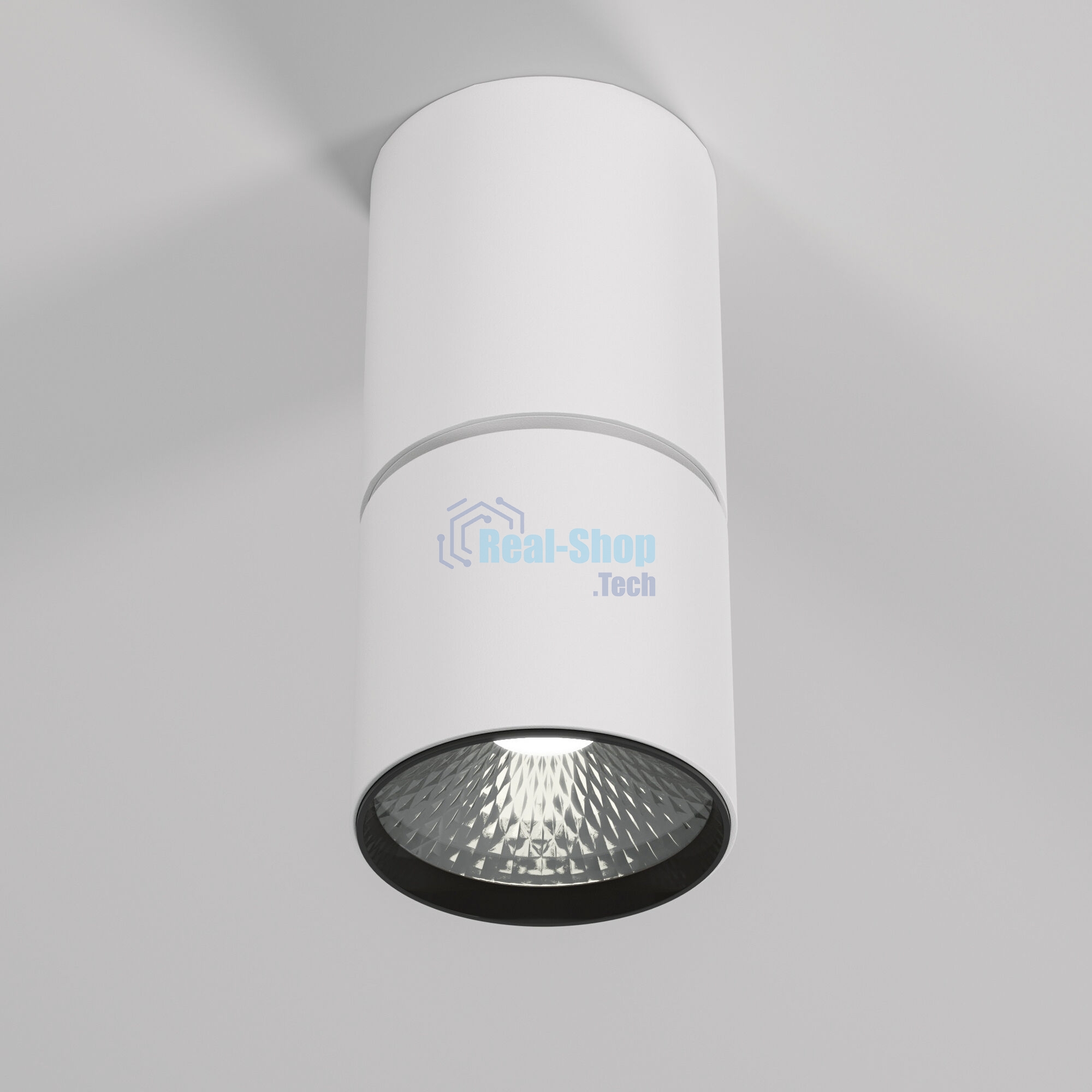 Светильник потолочный светодиодный 25042/LED 10W 4000K белый