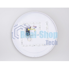 Потолочный светодиодный светильник Ambrella light FZ1322 GR/LWD серый/светлое дерево IP20 60W 3000-6400K D490*80 (ПДУ ИК)