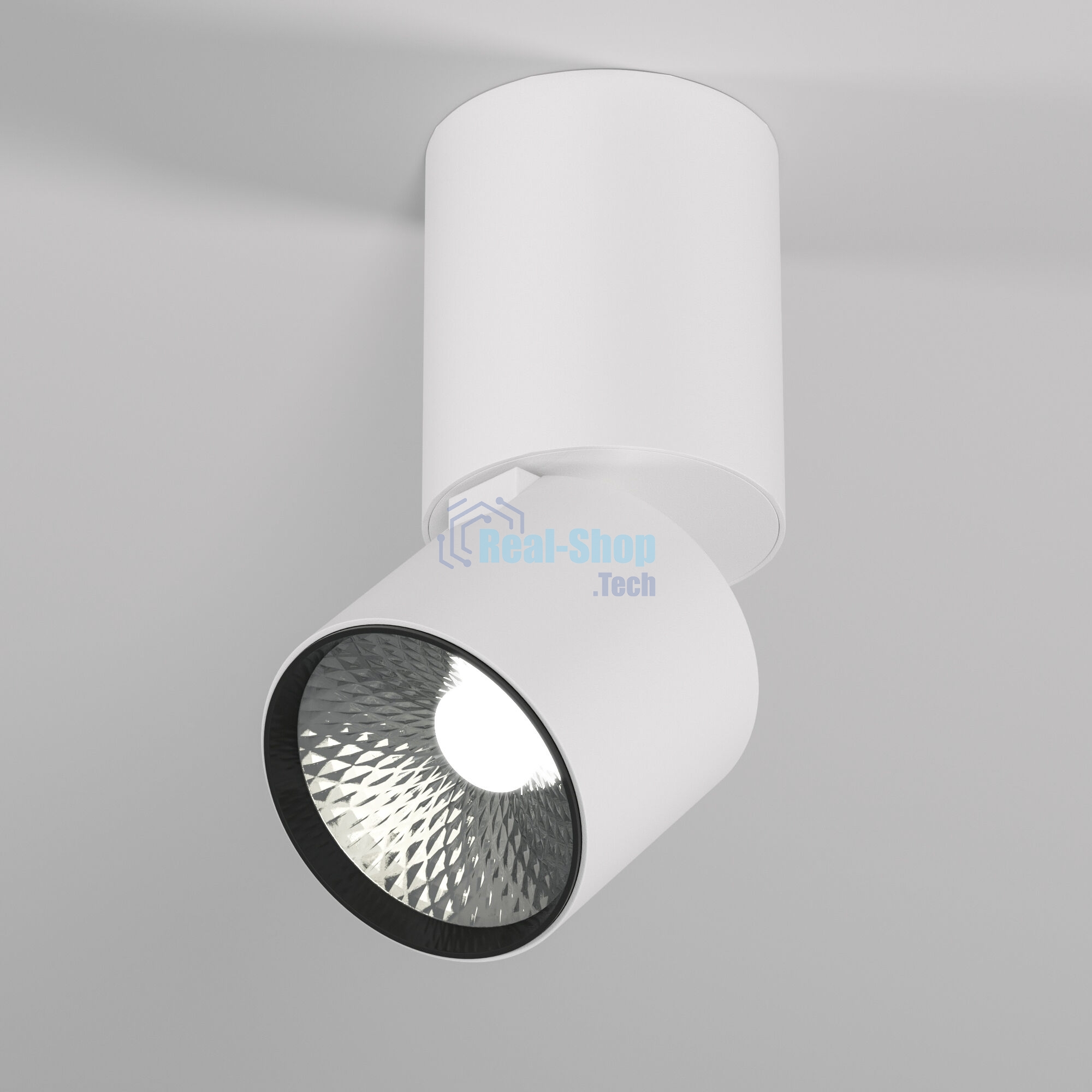 Светильник потолочный светодиодный 25042/LED 10W 4000K белый