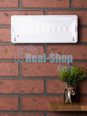 Светильник аварийного освещения SAFEWAY-10 LED PROxima EKF dpa-201