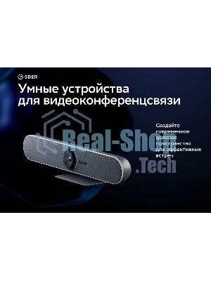 Веб-камера Sber SDVB-4Х001B