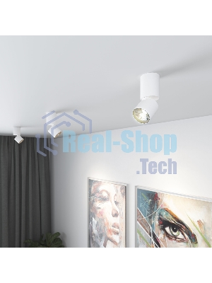 Светильник потолочный светодиодный 25042/LED 10W 4000K белый
