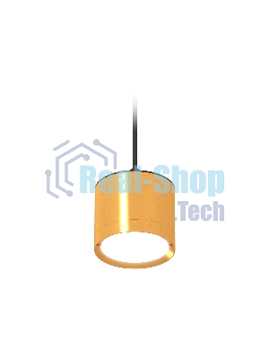 Светильник Ambrella Light XP8121012 PYG/SBK золото желтое полированное/черный песок GX53 (A2333, C8121, N8124)