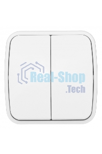 Выключатель 2-клавишный ОП 10А белый Минск EKF Basic