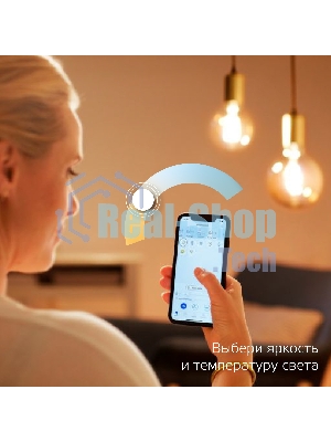 Лампа светодиодная филаментная Gauss Smart Home DIM+CCT E14 C35 4,5 Вт 2000-6500 К 1/10/40