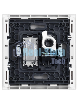 Розетка двойная TV+RJ45 кат.5E IEK FORTE&PIANO FP236 белый