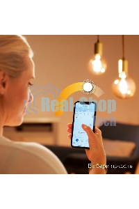 Лампа светодиодная филаментная Gauss Smart Home DIM E27 A60 7 Вт 1/10/40