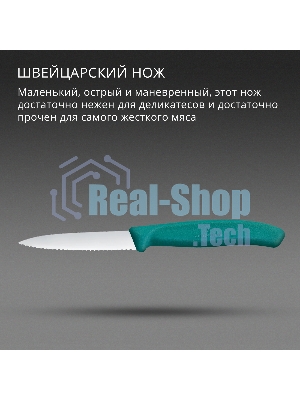 Нож кухонный Victorinox Swiss Classic (6.7634.C1) для чистки овощей и фруктов лезв. 80 мм серрейт. заточка зеленый