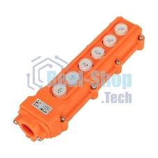 Пульт кнопочный Rexant ПK-6 на 6 кнопок IP54