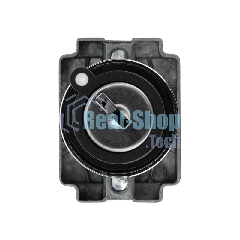 Переключатель Rexant BD21 2P с замком NO