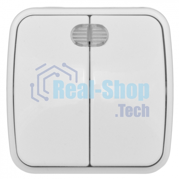 Выключатель 2-клавишный ОП 10А с индикатором белый EKF Basic Минск