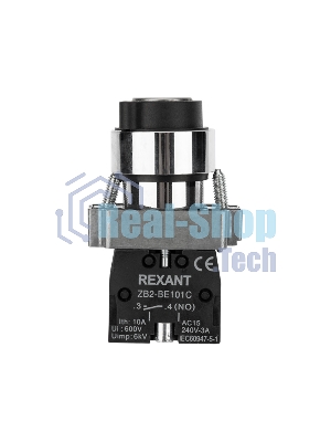 Переключатель Rexant BD21 2P с замком NO