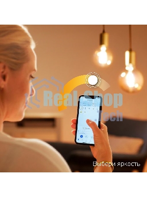 Лампа светодиодная филаментная Gauss Smart Home DIM E14 C35 4,5 Вт 1/10/40