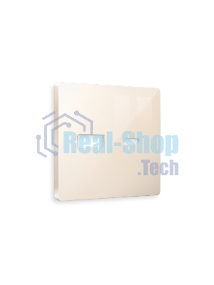 Лицевая панель ALFA (Бежевый глянец) для розетки 2USB тип A+C QUANT AP3110