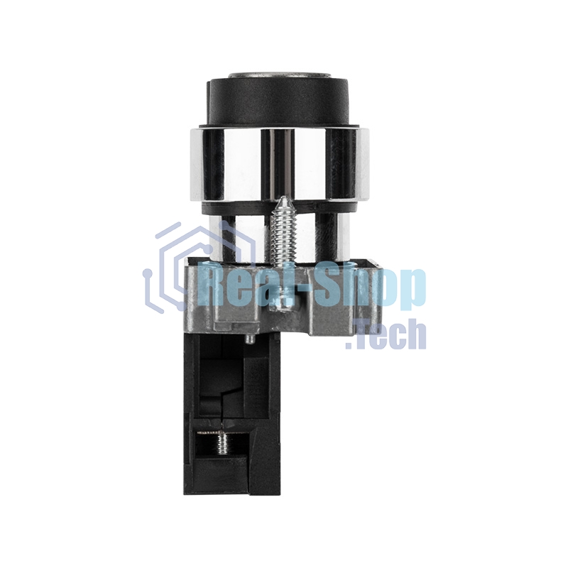 Переключатель Rexant BD21 2P с замком NO