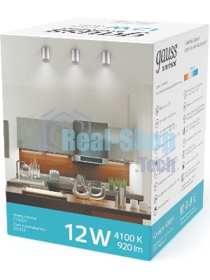 Светильник светодиодный накладной Gauss HD004 12W (хром сатин) 4100K 79x100мм HD004