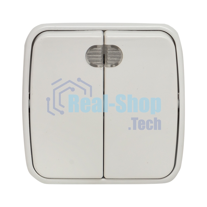 Выключатель 2-клавишный ОП 10А с индикатором белый EKF Basic Минск